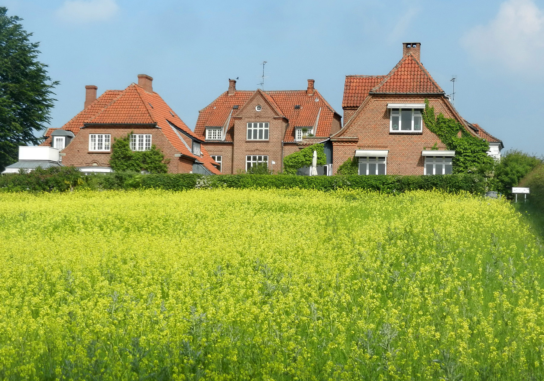 Roskilde